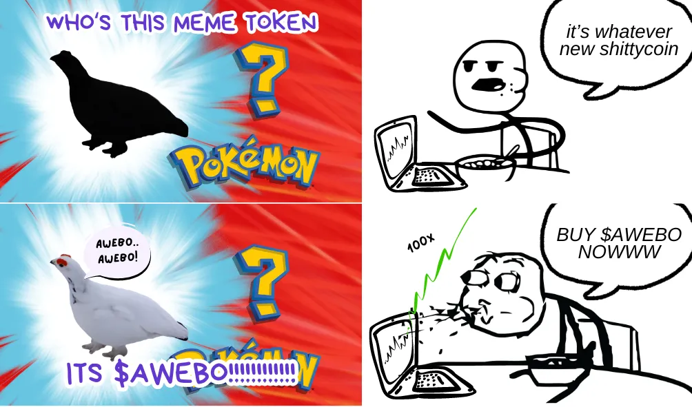 Who is that Awebo pokemon