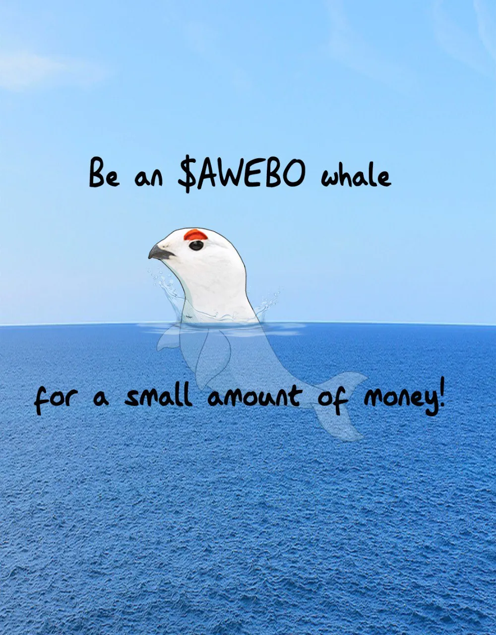 Awebo whale